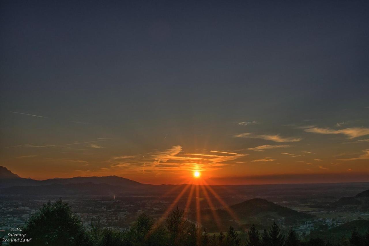 Panoramagasthof Daxlueg Salisburgo Esterno foto
